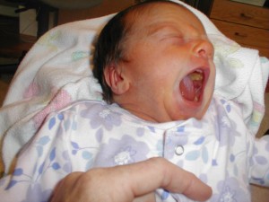 lexi-yawning-300x225